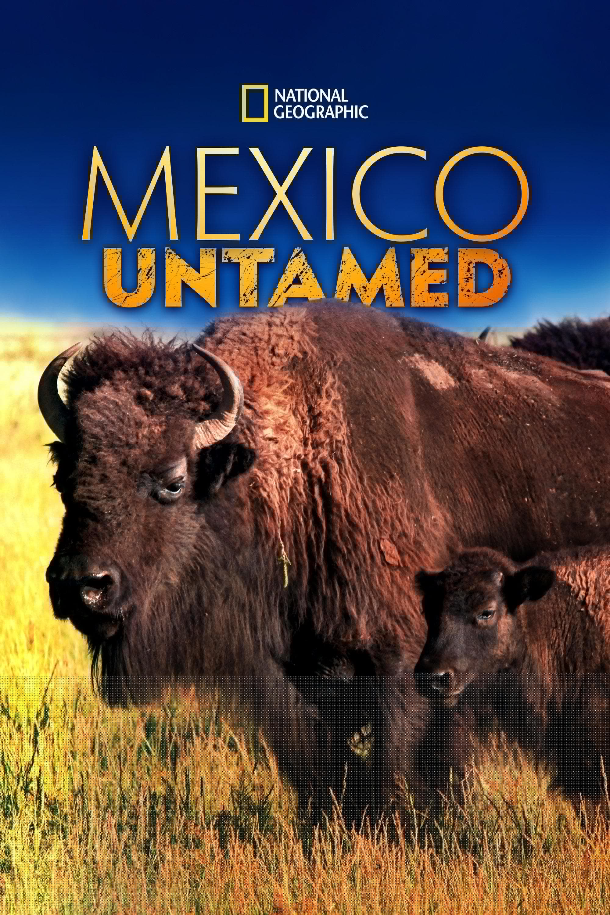 Mexico Untamed